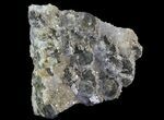 Fluorite and Quartz, Fujian Province, China #31548-1